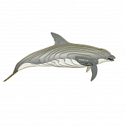 3D-ПАЗЛ «Дельфин» коллекция "млекопитающие"